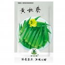 Fresh 20pcs Clemson Spineless Okra Seeds Non GMO Heirloom Grown