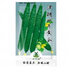Fresh 70pcs Cucumber Seeds Self Pollinated Organic Vegetable