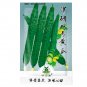 Fresh 70pcs Cucumber Seeds Self Pollinated Organic Vegetable