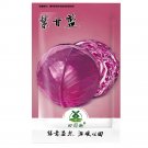 Fresh 250pcs The more purple purple cabbage seeds vegetable