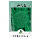 Fresh 600pcs Seeds Broccoli Vitamin Cabbage Planting Sprouting Organic Heirloom
