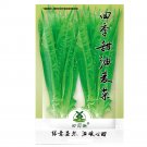 Fresh 2500pcs Chinese leaf lettuce Sword pointed lettuce A Choy You Mai Tsai Seeds