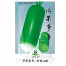 Fresh 800pcs Organic green radish seeds fruit radishes untreated garden