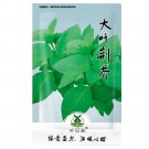 Fresh 4000pcs Nepeta cataria Camelina sativa Camelina sativa Artemisia SPP Seeds