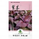 Fresh 1000pcs Perilla Seeds | KKaennip Gaennip Sesame Beefsteak Shiso Asian Seed