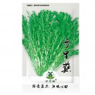 Fresh 4000pcs Chinese mustard seeds xuecai xuelihong gai choy kaai tsoi mustard