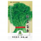 Fresh 1800pcs FENNEL Florence seeds unusual vegetable garden culinary herb bulb
