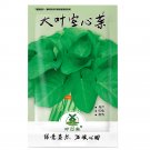 Fresh 100pcs Water spinach seeds water convolvulus vegetables with big leaves