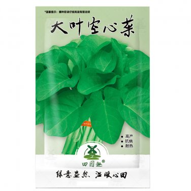 Fresh 100pcs Water spinach seeds water convolvulus vegetables with big leaves