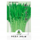 Fresh 100pcs Water spinach seeds water convolvulus
