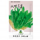 Fresh 3000pcs Shepherd s Purse Seeds Vegetable Modern Herbal Capsella Bursa pastoris