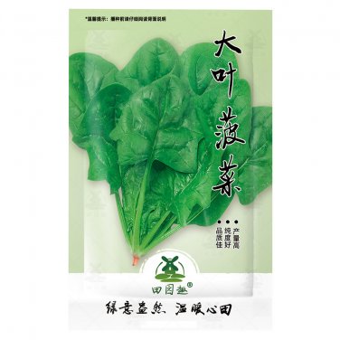Fresh 600pcs Big round leaf spinach Seeds Giant Noble spinach Persia vegetable