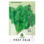 Fresh 600pcs Big round leaf spinach Seeds Giant Noble spinach Persia vegetable