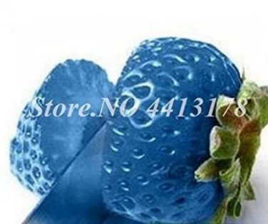 Fresh 300PCS Light Blue Strawberry Hybrid Seeds Giant Juicy Potted Fruit