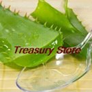 Fresh 200PCS Aloe Seeds Houseplants Succulent Aloe Vera Green Color