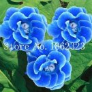 Fresh 100PCS Climbing Gloxinia Seed Sinningia Speciosa Flower Seeds Sky Blue Color