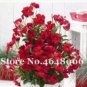 Fresh 200PCS Climbing Mandevilla Sanderi Dipladenia sanderi Seeds Dark Red Flowers