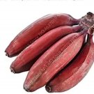 Fresh 100PCS Dwarf Banana Tree Seeds Red Skin