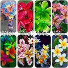 Fresh 100PCS Garden Plumeria Seeds Mixed 8 Colors