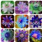 Fresh 100PCS Passiflora Fruits Seeds Mixed 9 Types