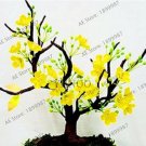 Fresh 10PCS Yellow Arabian Jasmine Seeds