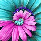 Fresh 30PCS Spiral Daisy Seeds Rainbow Color