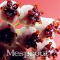 Fresh 100PCS Hoya Carnosa Seeds White and Dark Red Bi color