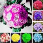 Fresh 30PCS Geranium Seeds Mixed Rose Purple Red Blue Light Purple Yellow