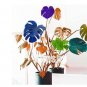 Fresh 100PCS Palm Turtle Leaves Seeds Mixed
