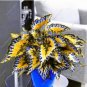 Fresh 100PCS Japanese Coleus Seeds