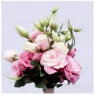 Fresh 100PCS Eustoma Grandiflorum Seeds Water Pink Double Flowers Hybrid