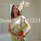 Fresh 100PCS Orchid Seeds White Double Flowers with Deep Red Tongue Home