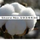 Fresh 400pcs/bag Cotton Seeds