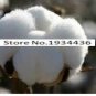 Fresh 400pcs/bag Cotton Seeds