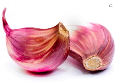 Fresh Multi petals Garlic Seeds Organic Seed Red Healthy Vegetables