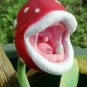 Fresh Insect catching Plant Enchantress Carnivorous Plant Desk Pot Seeds