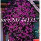 Fresh 200 Pcs Hanging Petunia Petunia Mixed Color Flower a Morning Glory (Color: 13) Seeds