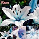Fresh 50Pcs Lots Bulk Seeds Floral Blue Lily Bulbs Seeding Lilium Flower (Col:as Show)