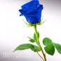 Fresh Blue Rose Fragrant Strong Blue Dragon Rose Blue Rose 150 PCS/Lot Seeds