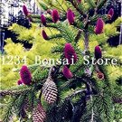 Fresh 100Pcs Korean Fir Abies Koreana Tree Flower Purify The Air (Color: 9) Seeds