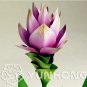 Fresh 100pcs Curcuma Alismatifolia Bonsai Herb Plant Seeds