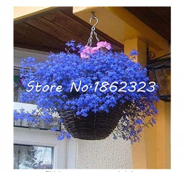 Fresh 500 pcs Exotic Lobelia Flower (Blue) Diaopen Flower Decoration Seeds