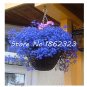 Fresh 500 pcs Exotic Lobelia Flower (Blue) Diaopen Flower Decoration Seeds