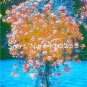 Fresh 100 Pc Plumbago Auriculata Perennial Flower Ceratostigma Plumbaginoide Seeds