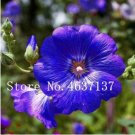 Fresh 100 Pcs Double Hollyhock Flower Mixed Althaea Rosea Flower (Color: 14) Seeds