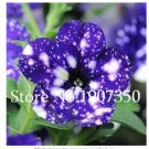 Fresh 100 Pcs Petenia Seeds Mini Seed Flower Funny Climbing s Petunia