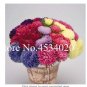 Fresh 100 pcs Aster (Callistephus) give You a Full of Bright Summer Big Flowers Seeds