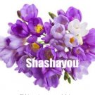 Fresh 100 Pcs Freesias Gorgeous ColorfulCut Orchid Freesia Rhizome Bulbous FlowersYard