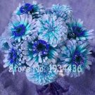 Fresh 100 Pcs Exotic Zinnia Pretty Pastel Mixed Flower Spring Flowering (Color: A13) Seeds
