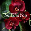 Fresh Phalaenopsis Giant Orchid Flower Big Flowers Seeds 100 pcs
